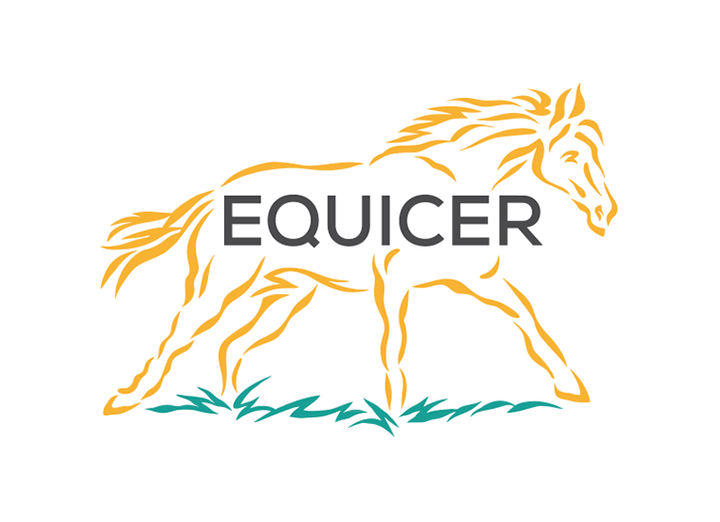 Logo EQUICER