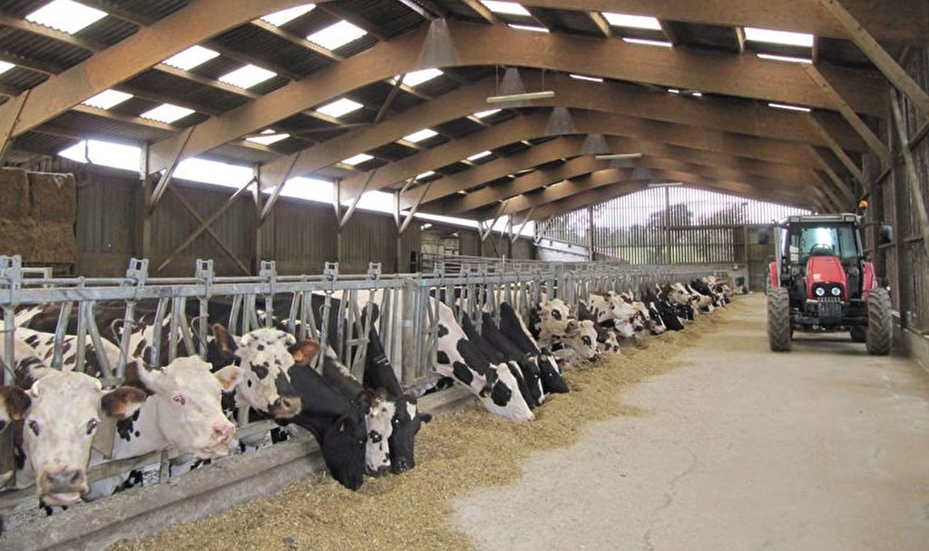 391 éleveurs de bovins se lancent sur le marché du carbone