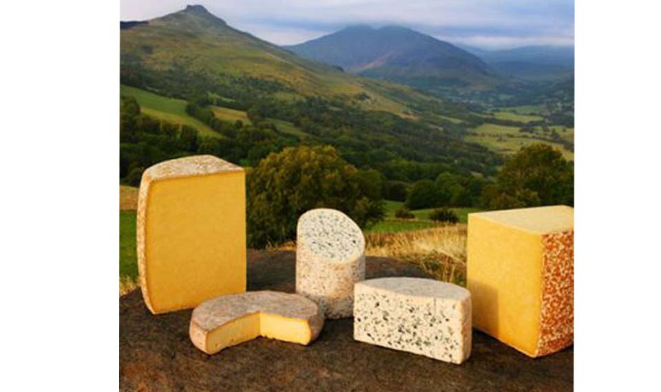 Covid-19 : ouverture de l’aide au stockage privé des fromages par l’Union Européenne