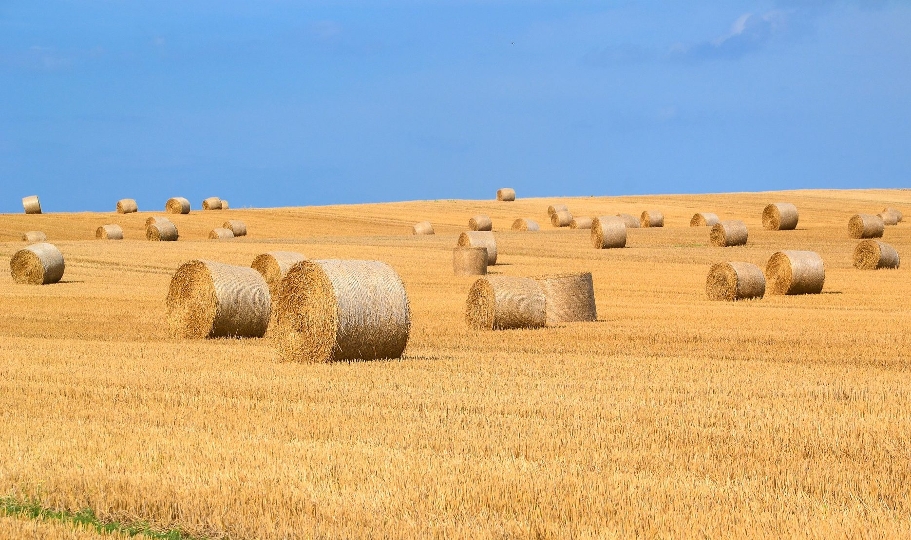 Barème indicatif de la valeur vénale moyenne des terres agricoles en 2019