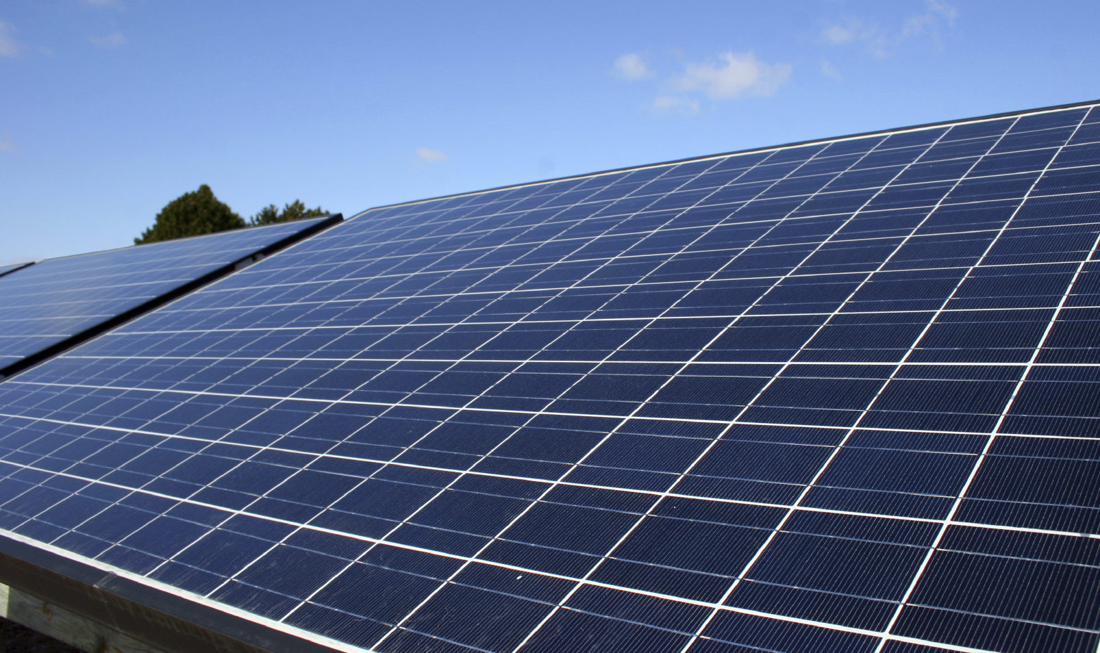 Installation d’un berger dans une des plus grandes fermes solaires de France