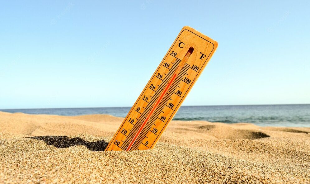 Bien-être animal : le transport du bétail sera restreint pendant la canicule