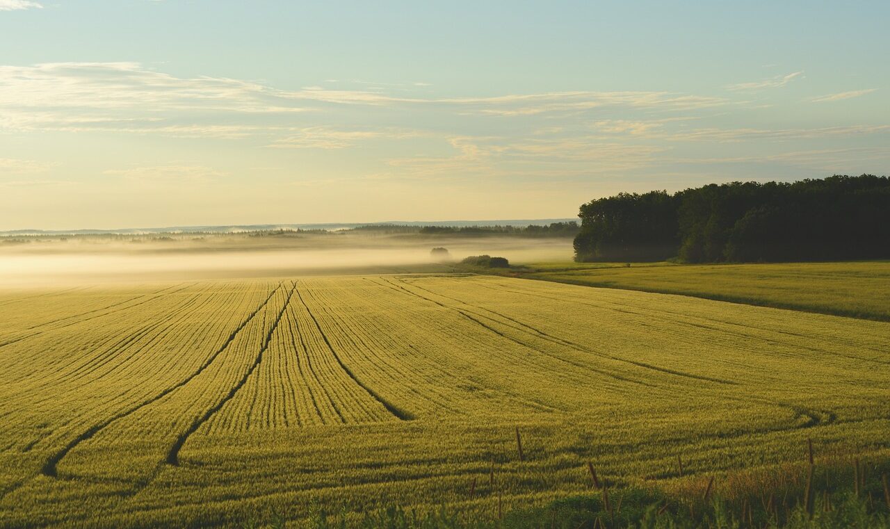 Mise en place des zones France ruralités revitalisation (ZFRR)