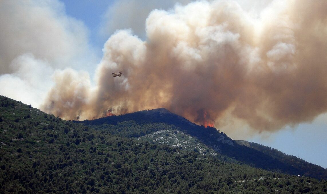 L’information sur le risque incendie de forêt renforcée par Décret